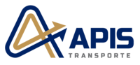 apis.com.py